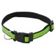 Collar MUTTLEY