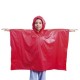 Poncho TEO