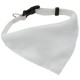 Collar Bandana ROCO