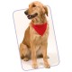 Collar Bandana ROCO