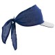 Visera INLADY