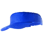 Visera